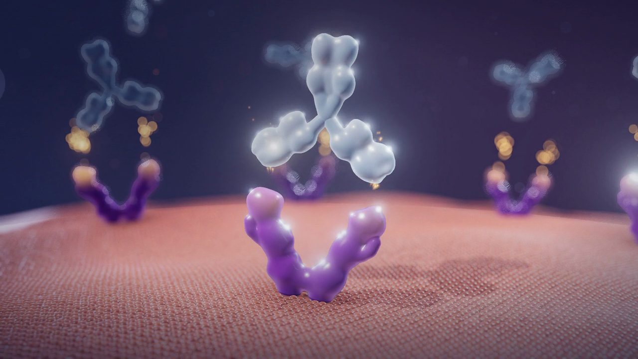 A Y-shaped antibody docking onto a receptor on a glowing cell surface